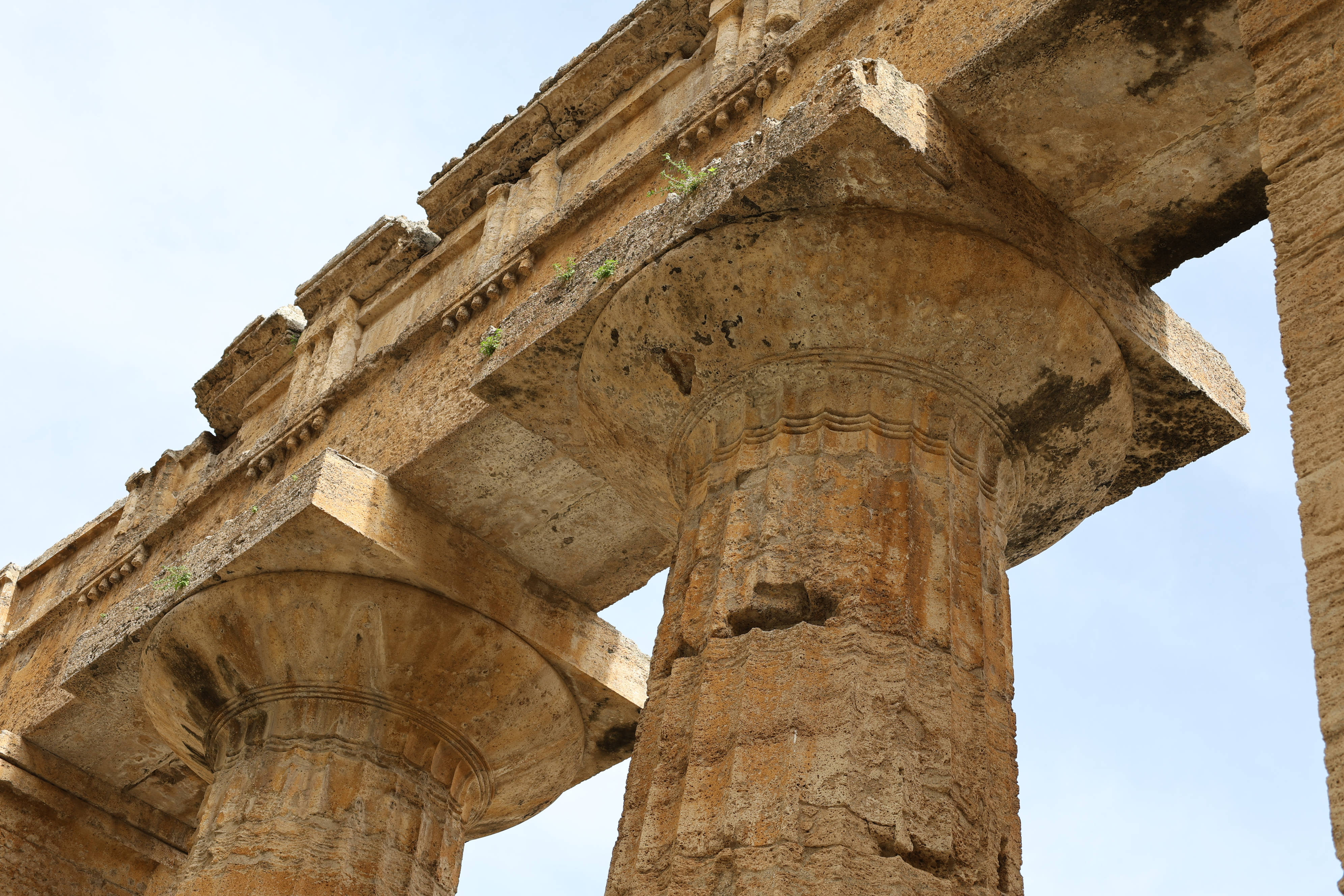 Paestum